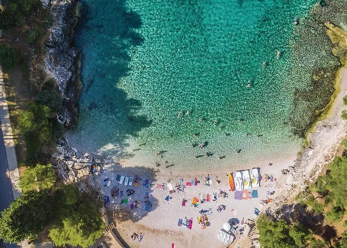 Awesome In With Kitchen Дом отдыха *